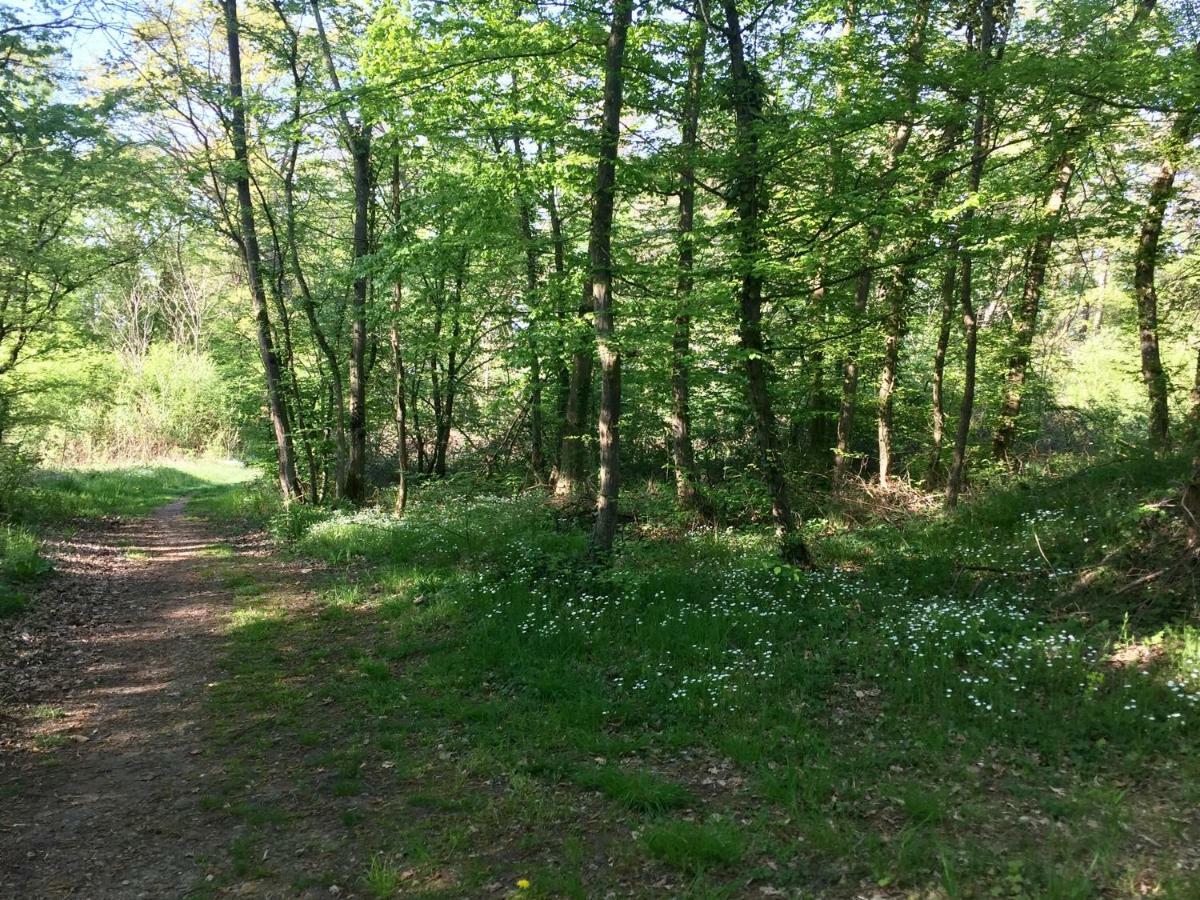 Camping Du Canal Kembs Eksteriør billede